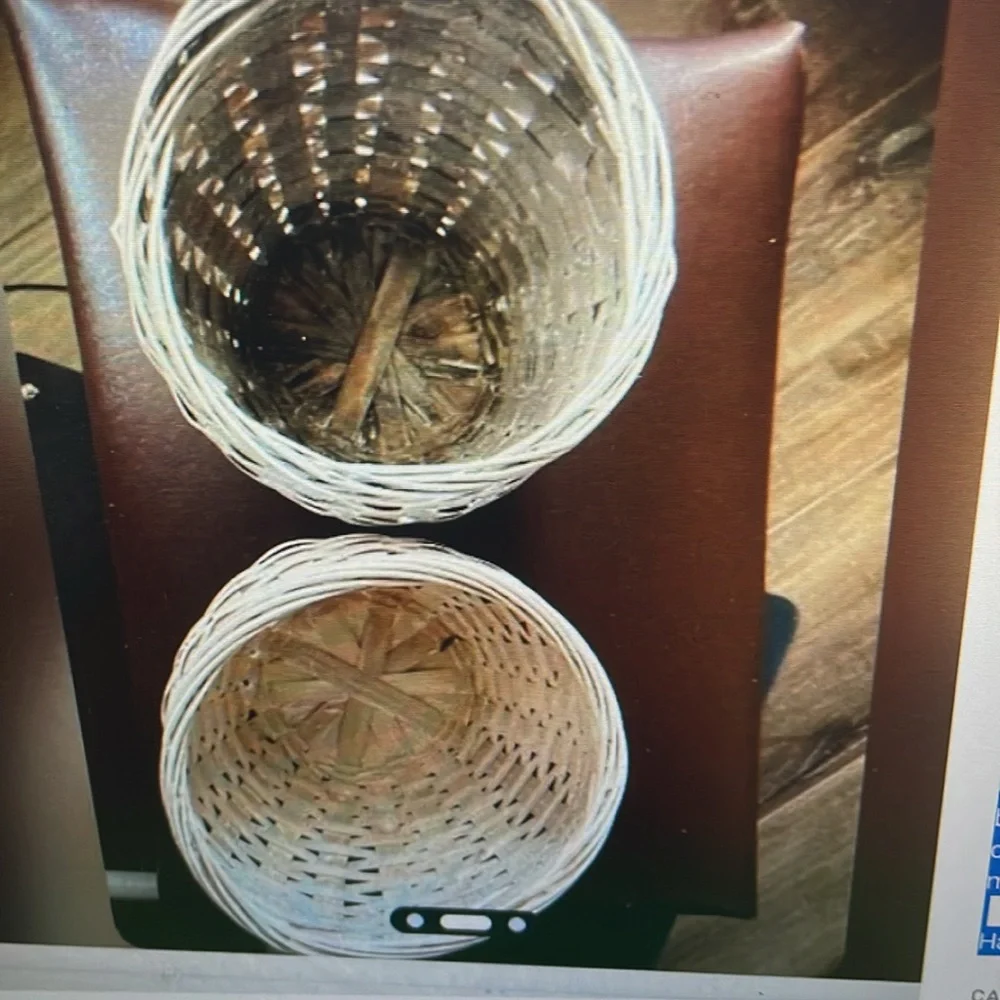 Set of 2 White Woven Baskets for plants